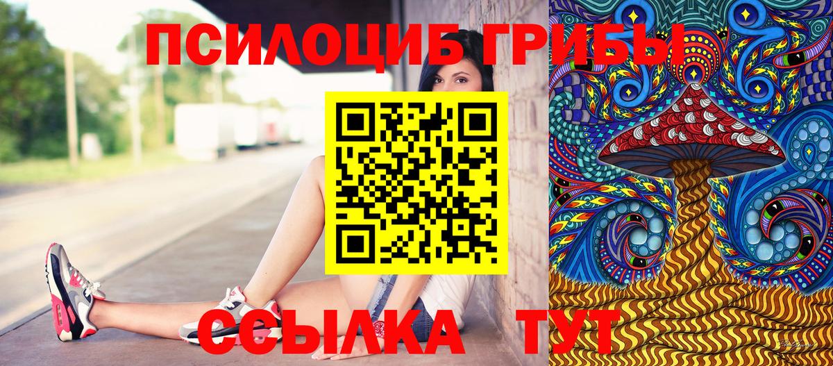 Галлюциногенные грибы Psilocybine cubensis  Вход с VPN  Псилоцибиновые грибы Cubensis  Воткинск 